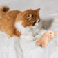 Animals Cartoon Cat Toy