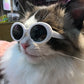 Cool Fashion Pet Sunglasses