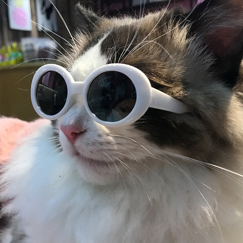 Cool Fashion Pet Sunglasses