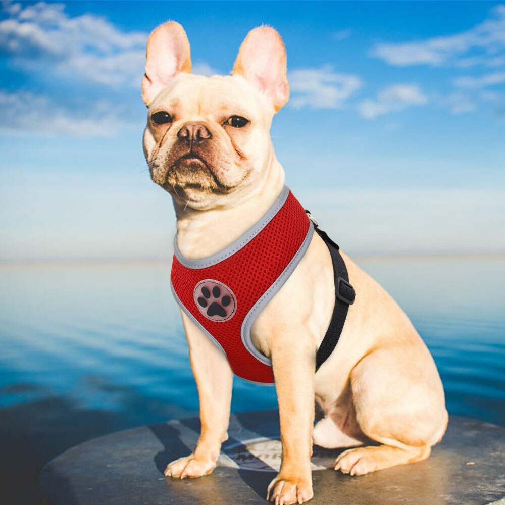 Breathable Nylon Pet Harness