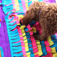Pet Sniffing Mat