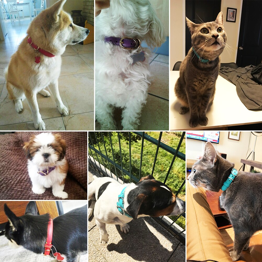 Genuine Leather Collar For Large Small Pet